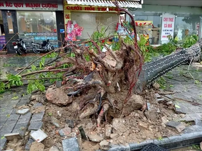 Đài PTTH Hà Nội